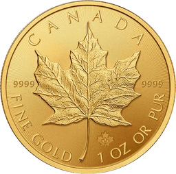 Gold Canadian Maple