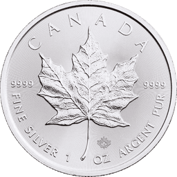 Silver Canadian Maple